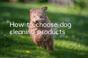 How to choose dog cleaning products?