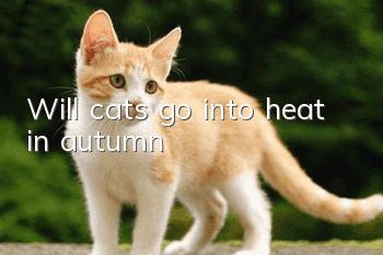 Will cats go into heat in autumn?