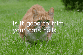 Is it good to trim your cat’s nails?