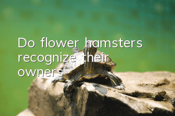 Do flower hamsters recognize their owners?