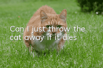 Can I just throw the cat away if it dies?