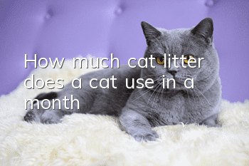 How much cat litter does a cat use in a month?