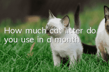 How much cat litter do you use in a month?