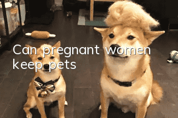 Can pregnant women keep pets?
