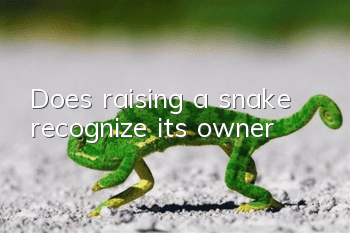 Does raising a snake recognize its owner?