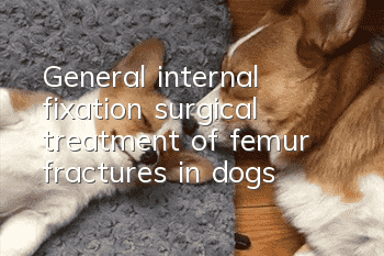 General internal fixation surgical treatment of femur fractures in dogs