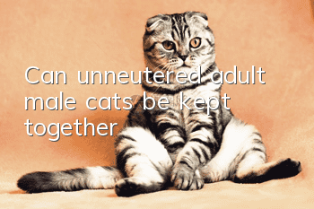 Can unneutered adult male cats be kept together?