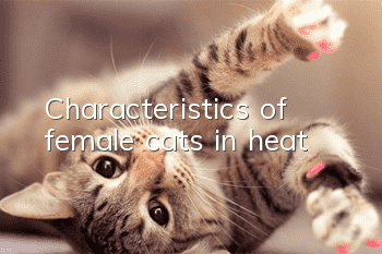 Characteristics of female cats in heat