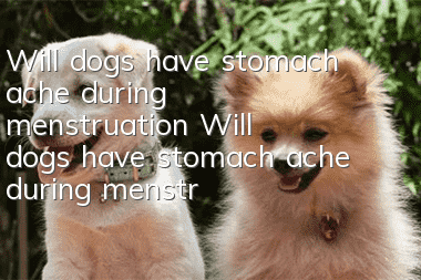 Will dogs have stomach ache during menstruation? Will dogs have stomach ache during menstruation?