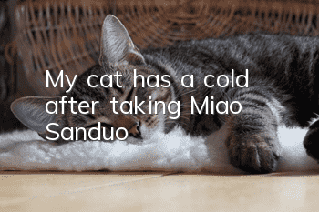 My cat has a cold after taking Miao Sanduo