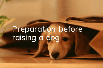 Preparation before raising a dog
