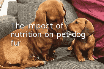 The impact of nutrition on pet dog fur