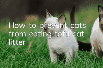 How to prevent cats from eating tofu cat litter