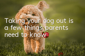 Taking your dog out is a few things parents need to know