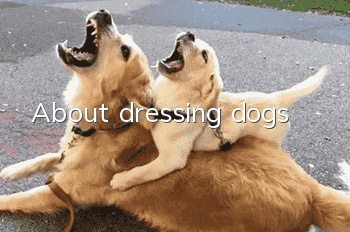 About dressing dogs