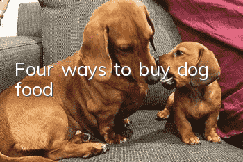 Four ways to buy dog ​​food
