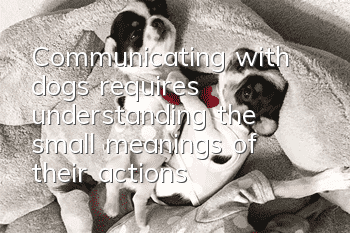 Communicating with dogs requires understanding the small meanings of their actions