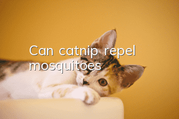 Can catnip repel mosquitoes?