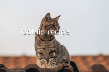Catnip recipe