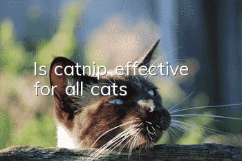 Is catnip effective for all cats?