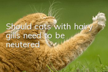 Should cats with hairy gills need to be neutered?