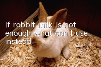 If rabbit milk is not enough, what can I use instead?