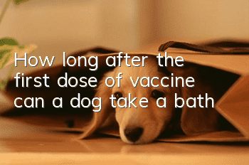 How long after the first dose of vaccine can a dog take a bath?