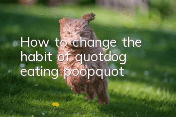 How to change the habit of "dog eating poop"