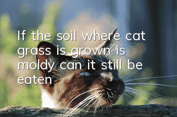 If the soil where cat grass is grown is moldy, can it still be eaten?