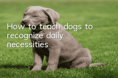 How to teach dogs to “recognize daily necessities”