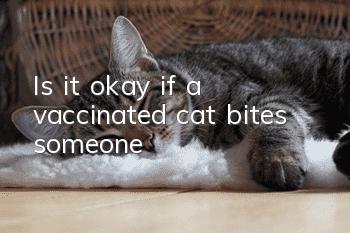 Is it okay if a vaccinated cat bites someone?