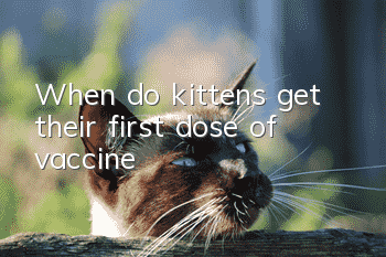 When do kittens get their first dose of vaccine?