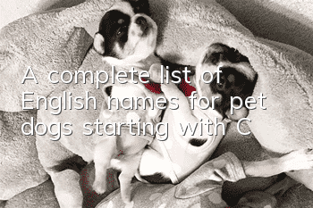 A complete list of English names for pet dogs starting with C