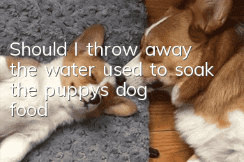 Should I throw away the water used to soak the puppy’s dog food?