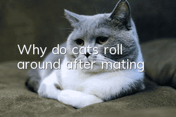 Why do cats roll around after mating?