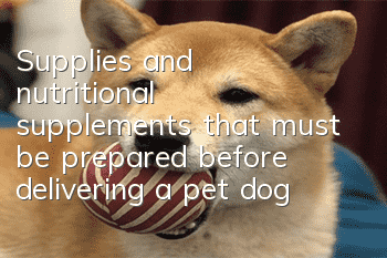 Supplies and nutritional supplements that must be prepared before delivering a pet dog