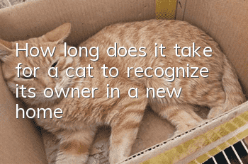 How long does it take for a cat to recognize its owner in a new home?