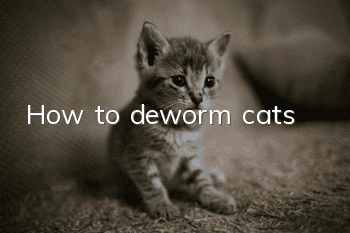 How to deworm cats