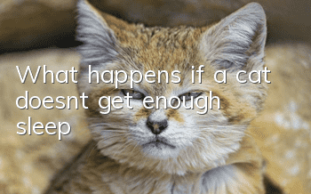 What happens if a cat doesn’t get enough sleep?