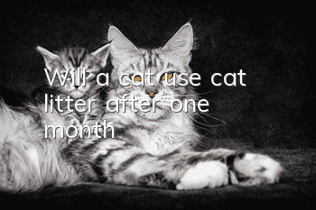 Will a cat use cat litter after one month?