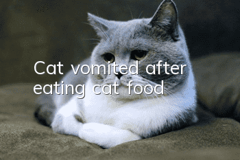Cat vomited after eating cat food