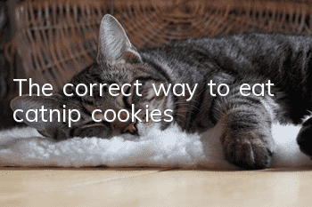 The correct way to eat catnip cookies