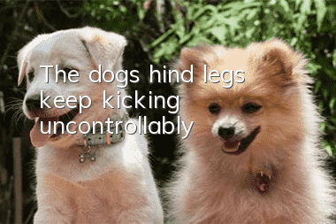 The dog’s hind legs keep kicking uncontrollably