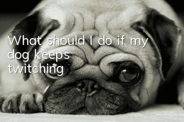 What should I do if my dog keeps twitching?