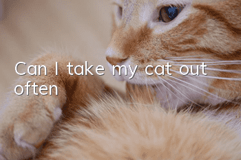 Can I take my cat out often?
