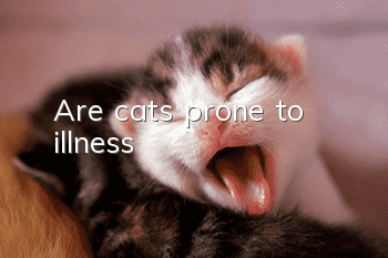 Are cats prone to illness?