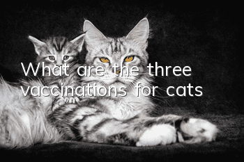 What are the three vaccinations for cats?
