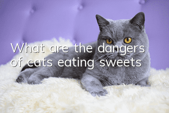 What are the dangers of cats eating sweets?