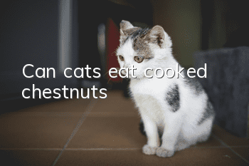 Can cats eat cooked chestnuts?