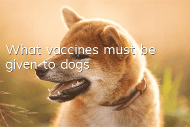 What vaccines must be given to dogs?